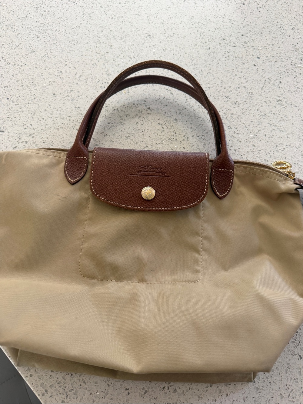 Longchamp Small Tote in Beige with Brown Trim